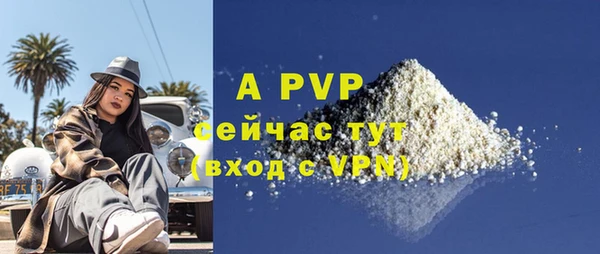 mdpv Бородино