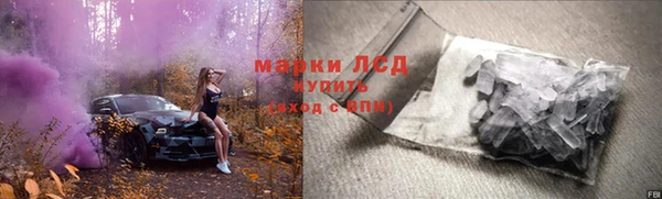 mdpv Бородино