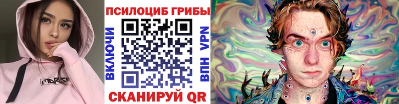 МЕГА ССЫЛКА  где можно купить наркотик  Южно-Сухокумск  Галлюциногенные грибы мицелий 